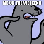 Homophobic Seal | ME ON THE WEEKEND | image tagged in memes,homophobic seal | made w/ Imgflip meme maker