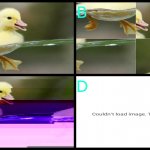 Increasingly Distorted Duck meme