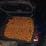 car with oranges