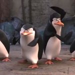 True But Unhelpful Comments