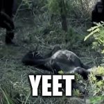 Yeet that monke! | YEET | image tagged in gifs,monkey | made w/ Imgflip video-to-gif maker