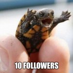Wow i must have the most on imgflip | 10 FOLLOWERS | image tagged in happy baby turtle | made w/ Imgflip meme maker