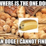Where is the Doge | WHERE IS THE ONE DOG; I MEAN DOGE I CANNOT FIND HIM | image tagged in bread | made w/ Imgflip meme maker