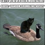 the goosessi looks very mad! | GOOSE: *RANDOM GRUMBLING NOISES*; CAT: I'VE NEVER BEEN MORE ALIVE! | image tagged in geesesses,fun,funny,goose,cat,wholesome | made w/ Imgflip meme maker