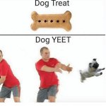 Dog Treat, Dog Yeet