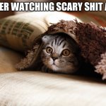 Kitteh under blanket | ME AFTER WATCHING SCARY SHIT AT 2AM | image tagged in kitteh under blanket,kitty,meme,funny,creepypasta,cat | made w/ Imgflip meme maker