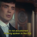 Peaky Blinders I'm not accustomed to be spoken to like that 2