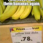 Yellow tree dicks