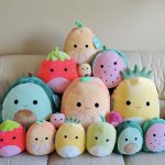 Group of squishmallows