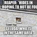 Geluda joins the adventure! | REAPER: *HIDES IN LAIR, HOPING TO NOT BE FOUND*; GELUDA, WHO IS IN THE SAME AREA: | image tagged in guten tag,reaper,enchantress | made w/ Imgflip meme maker