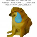 Oh you're human? Identify all of the traffic lights | ME LISTENING TO MOTIVATIONAL MESSAGES WHILE STRUGGLING TO COMPLETE RECAPTCHA CHALLENGES | image tagged in crying cheems | made w/ Imgflip meme maker