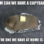 Baked potato Guinea pig | MOM CAN WE HAVE A CAPYBARA? NO THE ONE WE HAVE AT HOME IS FINE | image tagged in baked potato guinea pig | made w/ Imgflip meme maker