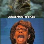 Maxine Waters large mouth ass