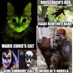 Schrodinger's cat | GENE SIMMONS' CALF | image tagged in schrodinger's cat | made w/ Imgflip meme maker