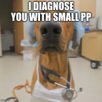 Doc is always right | I DIAGNOSE YOU WITH SMALL PP | image tagged in dog doctor | made w/ Imgflip meme maker