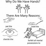 Why do we have hands