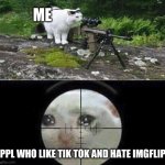 Sniper cat | ME; PPL WHO LIKE TIK TOK AND HATE IMGFLIP | image tagged in sniper cat | made w/ Imgflip meme maker