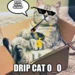 comfy cat | IM DRIP CAT HOW YOU DOING? DRIP CAT O_O | image tagged in comfy cat | made w/ Imgflip meme maker