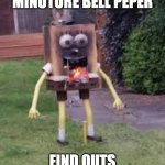 CAROLINA REEPER | DAD GIVES U A MINUTURE BELL PEPER; FIND OUTS NO SUCH THING | image tagged in spongebob overheat | made w/ Imgflip meme maker