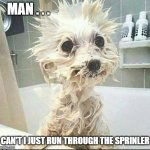 Bath time | MAN . . . CAN'T I JUST RUN THROUGH THE SPRINLER | image tagged in fun,clean up,funny dogs,cute puppies,fur babie,babies | made w/ Imgflip meme maker