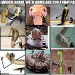 Which Snake with Arms are you today? | WHICH SNAKE WITH ARMS ARE YOU TODAY? | image tagged in 3x3 grid alignment meme | made w/ Imgflip meme maker