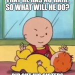 Caillou wants all of your hairs | CAILLOU IS SAD THAT HE HAS NO HAIR. SO WHAT WILL HE DO? RIP OUT HIS SISTERS AND GLUE THEM TO HIS HEAD. | image tagged in revenge,caillou,poor child | made w/ Imgflip meme maker