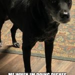 Thomas the dog | ME WHEN IM DOING DISHES AND MOM SAYS NO ONE HELPS ME | image tagged in thomas the dog | made w/ Imgflip meme maker