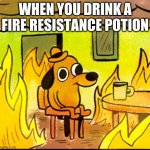 fire resistance potion | WHEN YOU DRINK A FIRE RESISTANCE POTION | image tagged in this is fine,minecraft,fire | made w/ Imgflip meme maker