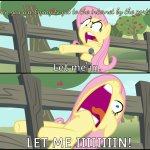 Fluttershy "Let Me In!" | When you are trying to get to the internet by the portal... | image tagged in fluttershy let me in,let me in,eric andre let me in meme,funny,memes,oh wow are you actually reading these tags | made w/ Imgflip meme maker