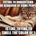 Philosophy cat | TRYING TO UNDERSTAND THE BEHAVIOR OF SOME PEOPLE; MEMEs by Dan Campbell; IS LIKE TRYING TO SMELL THE COLOR OF 5 | image tagged in philosophy cat | made w/ Imgflip meme maker