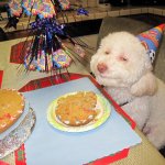 Creepy Dog Birthday Cake