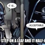 what do you guys think | WHEN YOU STEP ON A LEAF AND IT HALF-CRUNCHES | image tagged in it is acceptable | made w/ Imgflip meme maker