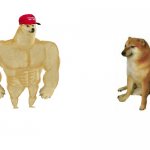 MAGA buff Doge vs. cheems