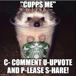 Please Cupps Me!! | "CUPPS ME"; C- COMMENT U-UPVOTE AND P-LEASE S-HARE! | image tagged in starbucks' hedgehog | made w/ Imgflip meme maker