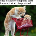 Shopping cats meme