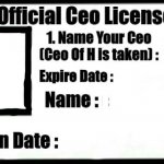 License Of Being A Ceo