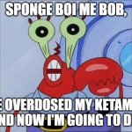 Oh yeah mr krabs | SPONGE BOI ME BOB, I'VE OVERDOSED MY KETAMINE AND NOW I'M GOING TO DIE | image tagged in oh yeah mr krabs | made w/ Imgflip meme maker