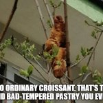 That's No Ordinary Croissant | THAT'S NO ORDINARY CROISSANT. THAT'S THE MOST FOUL, CRUEL, AND BAD-TEMPERED PASTRY YOU EVER SET EYES ON. | image tagged in croissant in tree,croissant | made w/ Imgflip meme maker