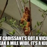 Killer Croissant! | THAT CROISSANT'S GOT A VICIOUS STREAK A MILE WIDE, IT'S A KILLER! | image tagged in killer croissant,croissant in tree | made w/ Imgflip meme maker