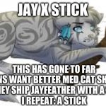 to far | JAY X STICK; THIS HAS GONE TO FAR
FANS WANT BETTER MED CAT SHIPS
SO THEY SHIP JAYFEATHER WITH A STICK
I REPEAT: A STICK | image tagged in jay x stick,warrior cats | made w/ Imgflip meme maker