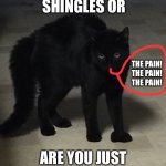 Shingles | DO YOU HAVE SHINGLES OR; THE PAIN!
THE PAIN!
THE PAIN! ARE YOU JUST HAPPY TO SEE ME? | image tagged in marion lang | made w/ Imgflip meme maker