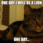 Ambition Cat | ONE DAY I WILL BE A LION; ONE DAY... | image tagged in ambition cat | made w/ Imgflip meme maker