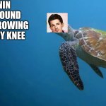 I'VE BEEN RUNNIN ROUND RUNNIN ROUND RUNNIN ROUND THROWING THAT TURTLE ON MY KNEE | image tagged in lol | made w/ Imgflip meme maker