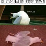 Don't get me wrong, I do this all the time | HOW SOME BOYS SNEEZE: | image tagged in dead seagull,memes,funny,triangles are sharp | made w/ Imgflip meme maker