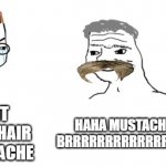 Look what i found out guys :O | YOU CANT USE KAREN HAIR LIKE A MUSTACHE; HAHA MUSTACHE GO BRRRRRRRRRRRRRRRRRR | image tagged in nooo haha go brrr | made w/ Imgflip meme maker
