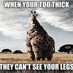 fat girrafe | WHEN YOUR TOO THICK; THEY CAN'T SEE YOUR LEGS | image tagged in fat girrafe | made w/ Imgflip meme maker