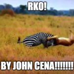 lion rko | RKO! BY JOHN CENA!!!!!!! | image tagged in lion rko | made w/ Imgflip meme maker