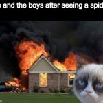 We burnt our house down and now we have to get a new one. I see nothing wrong with this | Me and the boys after seeing a spider: | image tagged in memes,burn kitty,grumpy cat | made w/ Imgflip meme maker