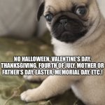 Angry Pug | WHEN YOU REALIZE THERE WASN’T A SINGLE HOLIDAY EPISODE OF DRAKE AND JOSH WHATSOEVER (EXCEPT CHRISTMAS). NO HALLOWEEN, VALENTINE’S DAY, THANKSGIVING, FOURTH OF JULY, MOTHER OR FATHER’S DAY, EASTER, MEMORIAL DAY, ETC.! 😱😳😤😠😡🤬🤬🤬🤬🤬🤬🤬🤬🤬🤬 | image tagged in angry pug | made w/ Imgflip meme maker