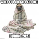 during quarantine | WHEN YOU ARE SICK AT HOME; DURING 2021 | image tagged in pug in blanket,stay home | made w/ Imgflip meme maker
